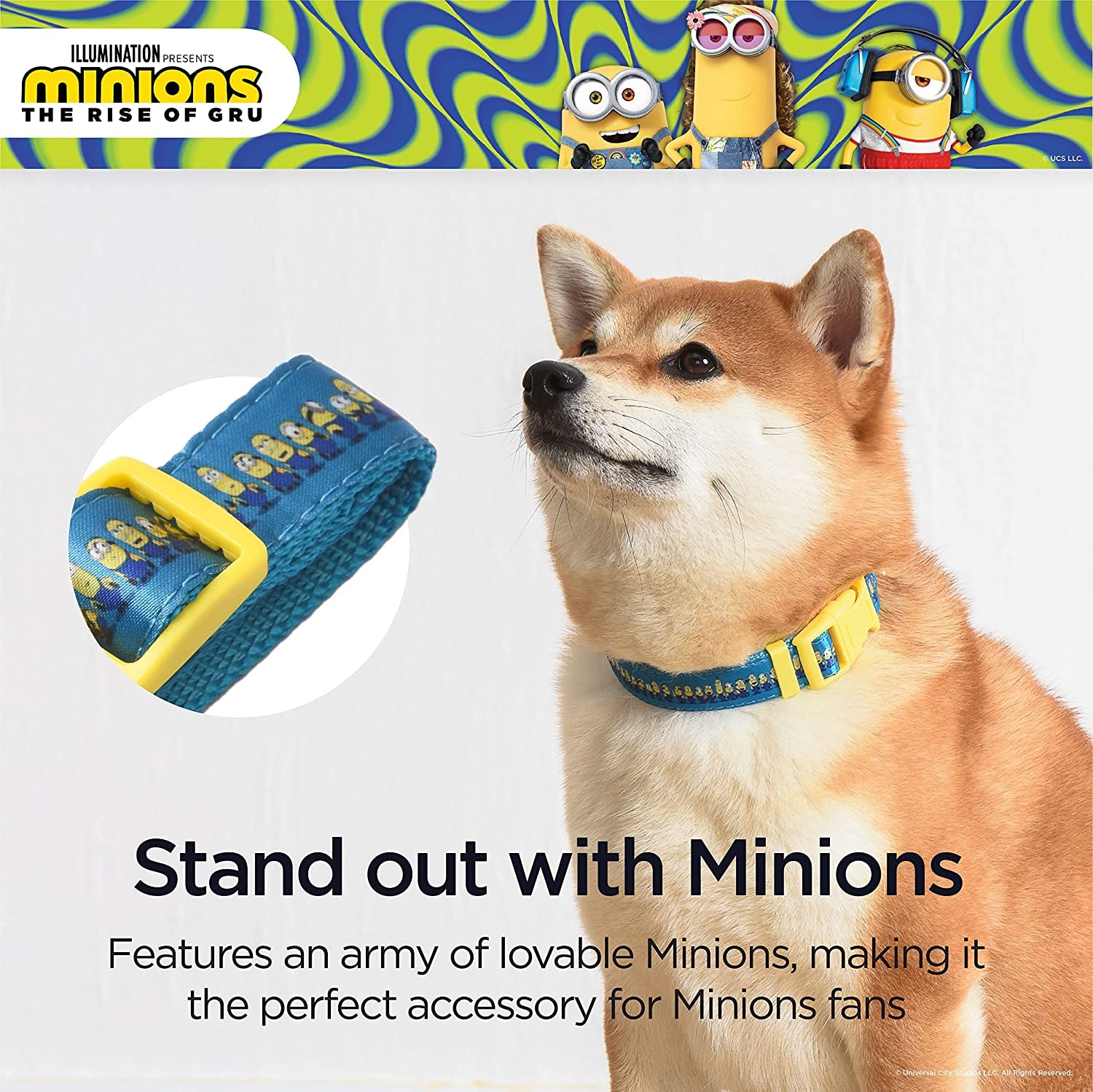 Dog Collar, Large, Blue and Yellow  in a Row| Gifts for  Fans and Their Pets | Officially Licensed Pet Product from Universal Studios