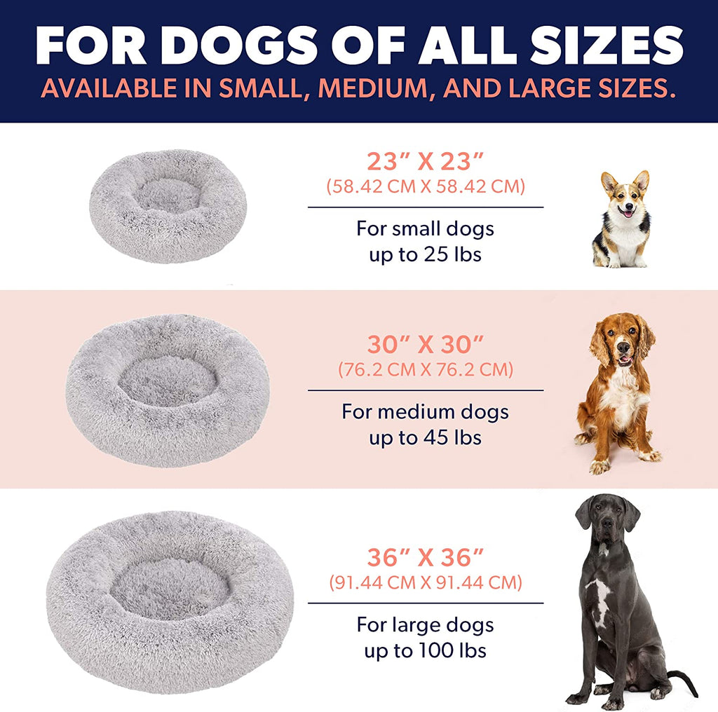 Premium Dog Beds for Large Dogs and Medium Dogs - Portable Dog Beds & Furniture - Fits up to 45 Lbs, (Medium, Dark Grey)