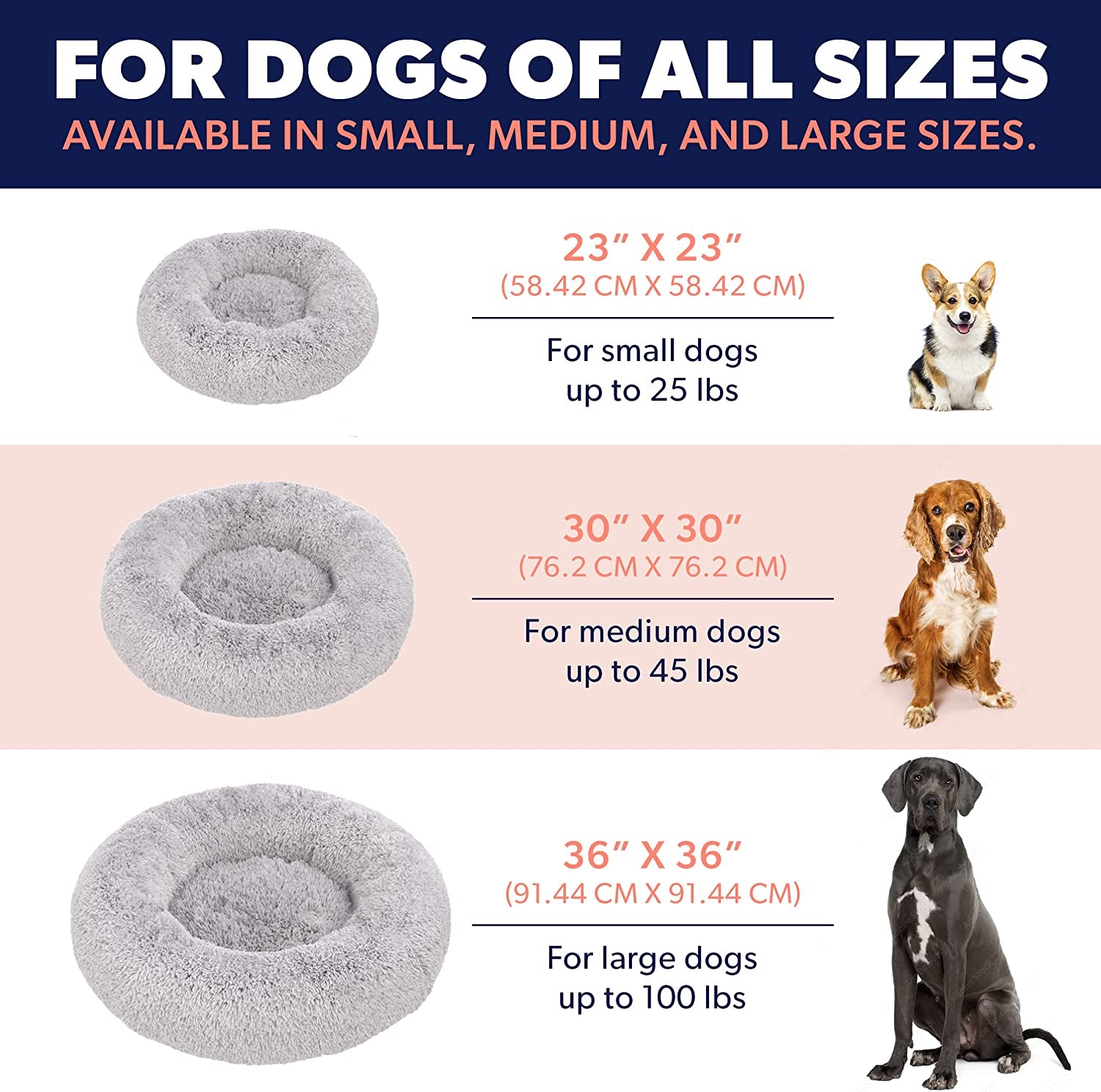 Premium Dog Beds for Large Dogs and Medium Dogs - Portable Dog Beds & Furniture - Fits up to 45 Lbs, (Medium, Dark Grey)