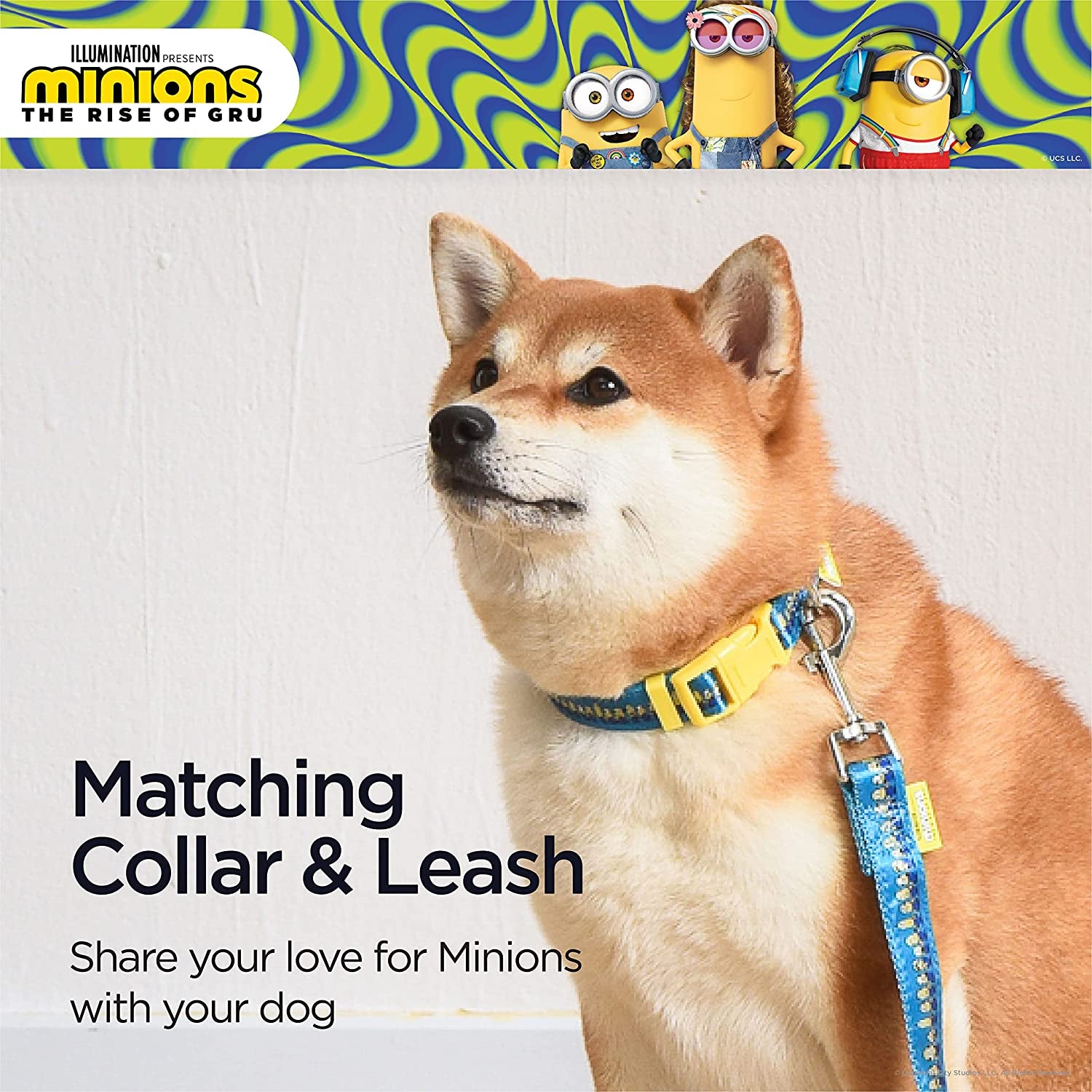 Dog Collar, Large, Blue and Yellow  in a Row| Gifts for  Fans and Their Pets | Officially Licensed Pet Product from Universal Studios