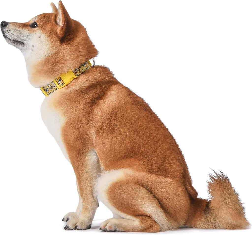 Dog Collar, Large, Yellow, More than a Minion| Gifts for  Fans and Their Pets | Officially Licensed Pet Products from Universal Studios