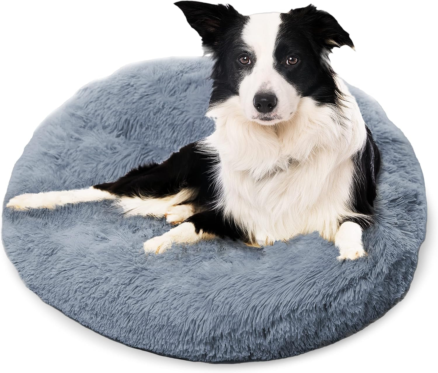 Premium Dog Beds for Large Dogs and Medium Dogs - Portable Dog Beds & Furniture - Fits up to 45 Lbs, (Medium, Dark Grey)