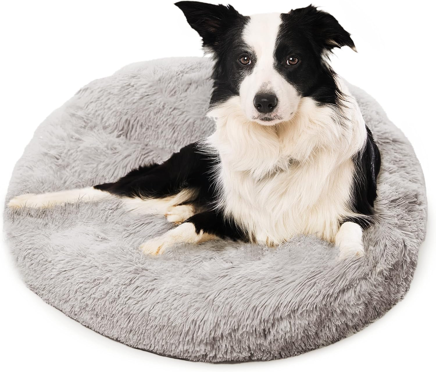 Premium Dog Beds for Large Dogs and Medium Dogs - Portable Dog Beds & Furniture - Fits up to 45 Lbs, (Medium, Dark Grey)