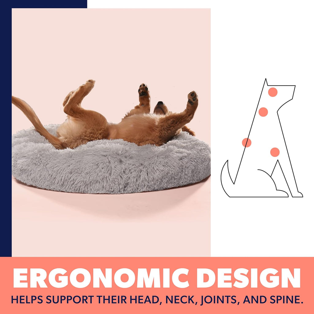 Premium Dog Beds for Large Dogs and Medium Dogs - Portable Dog Beds & Furniture - Fits up to 45 Lbs, (Medium, Dark Grey)