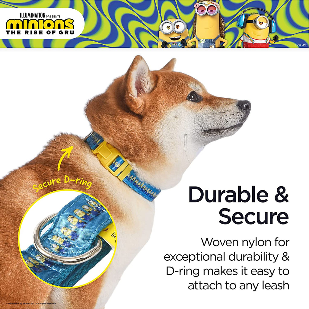 Dog Collar, Large, Blue and Yellow  in a Row| Gifts for  Fans and Their Pets | Officially Licensed Pet Product from Universal Studios